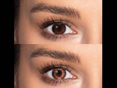 TopVue Color daily - Brown - ar dioptriju (10 lēcas)