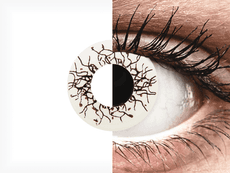 ColourVUE Crazy Lens - Vikingdom - dienas bez dioptrijas (2 lēcas)