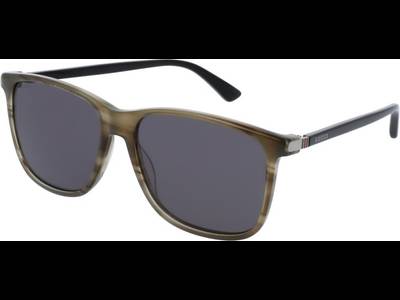 Gucci GG0017S 006